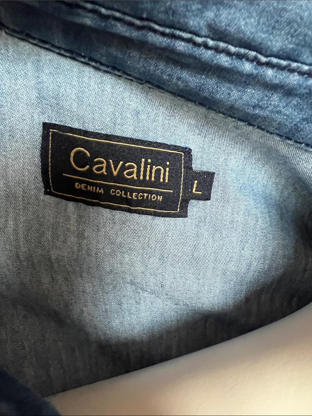 Cavalini Embroidered Denim Button-Down Shirt - Blue - Picture 2 of 8